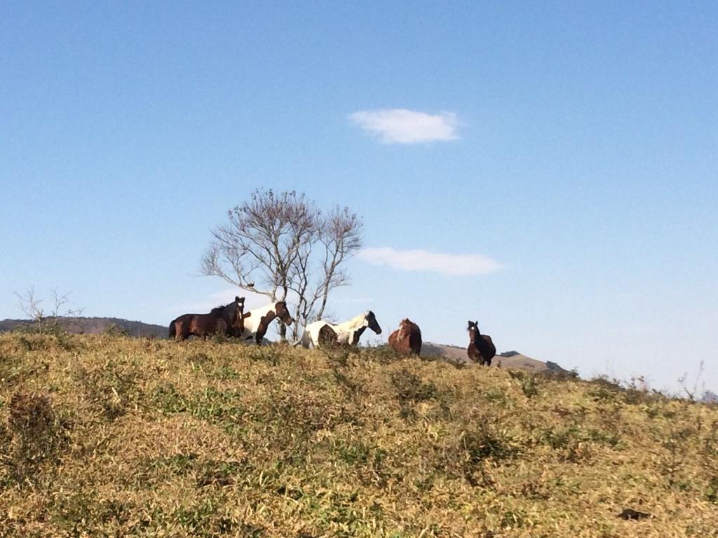 Apartamento Ferias Fazenda Usina 1 Bocaina de Minas Zewnętrze zdjęcie