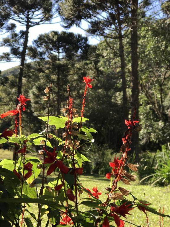 Apartamento Ferias Fazenda Usina 1 Bocaina de Minas Zewnętrze zdjęcie