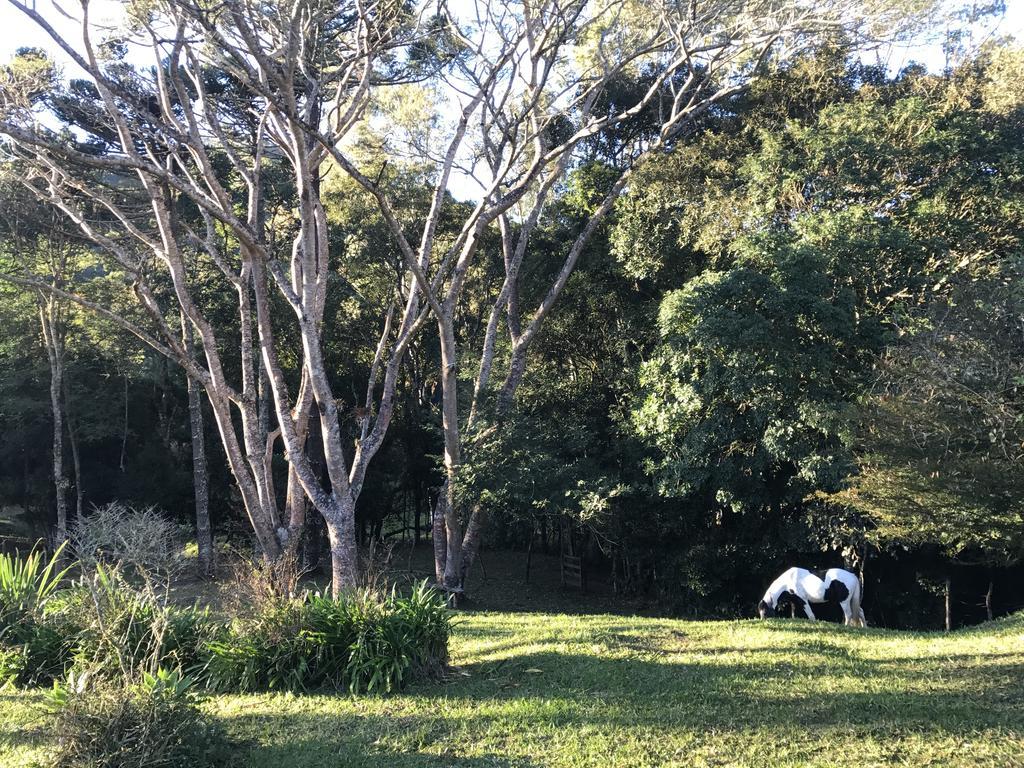 Apartamento Ferias Fazenda Usina 1 Bocaina de Minas Zewnętrze zdjęcie